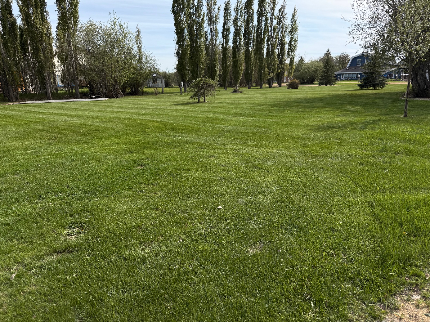 Wide acreage lawn with clean cut and healthy green turf