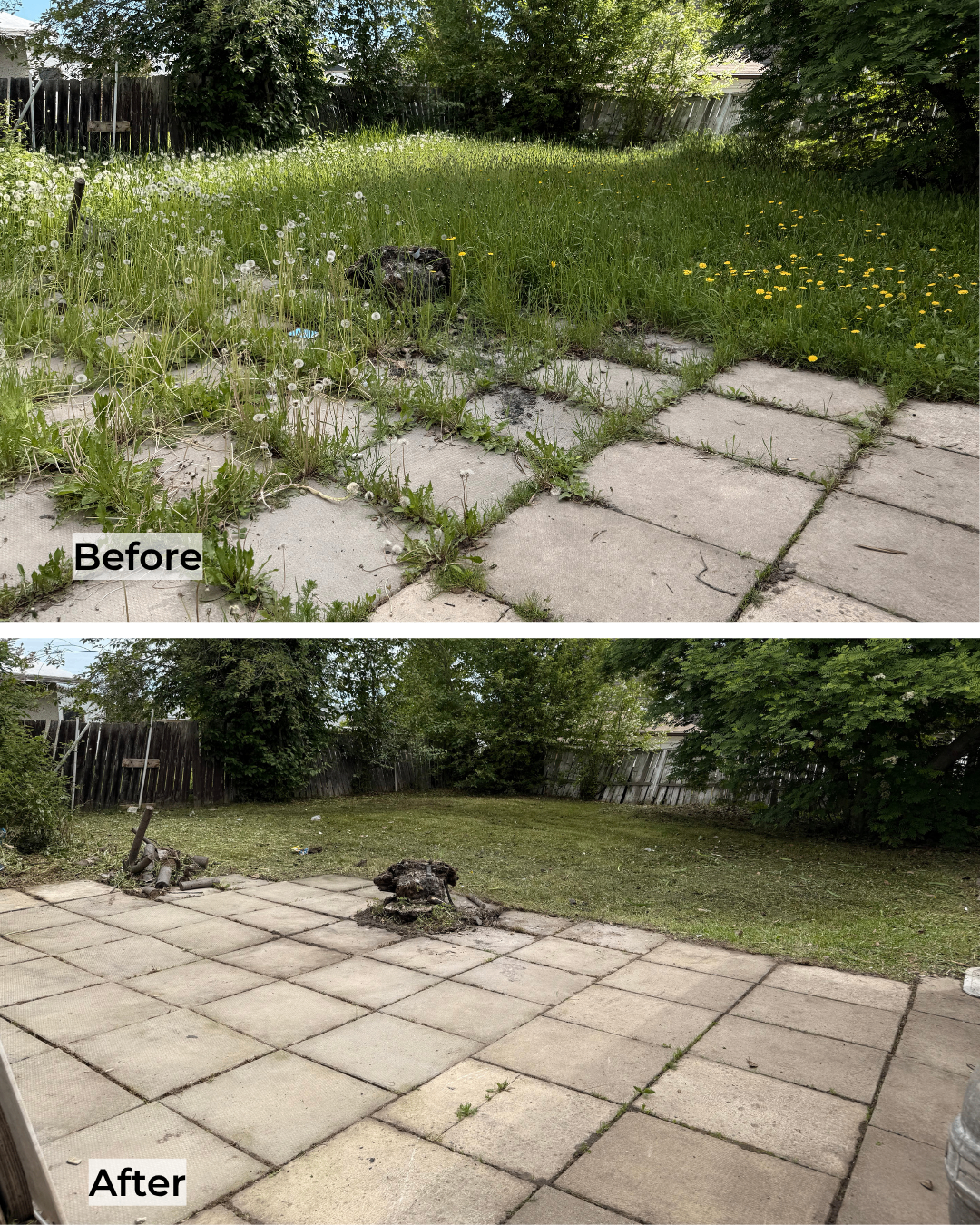 Before and after backyard cleanup transformation